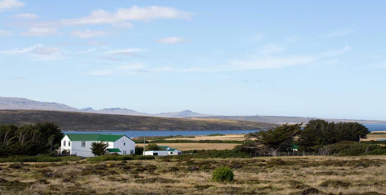 Falkland Islands Meat Company