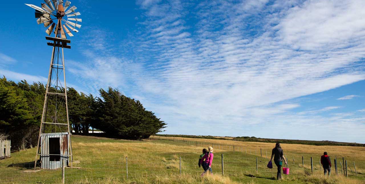 Falkland Islands Meat Company