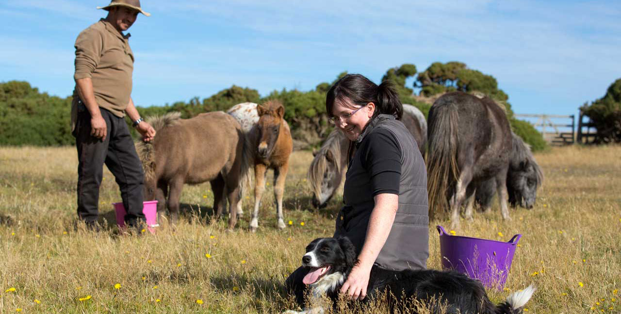 Falkland Islands Meat Company