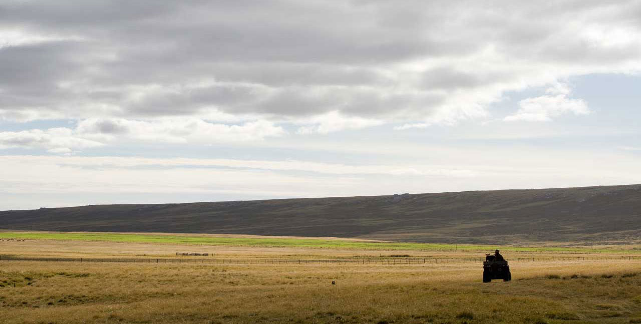 Falkland Islands Meat Company