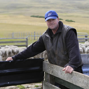 Falkland Islands Meat Company