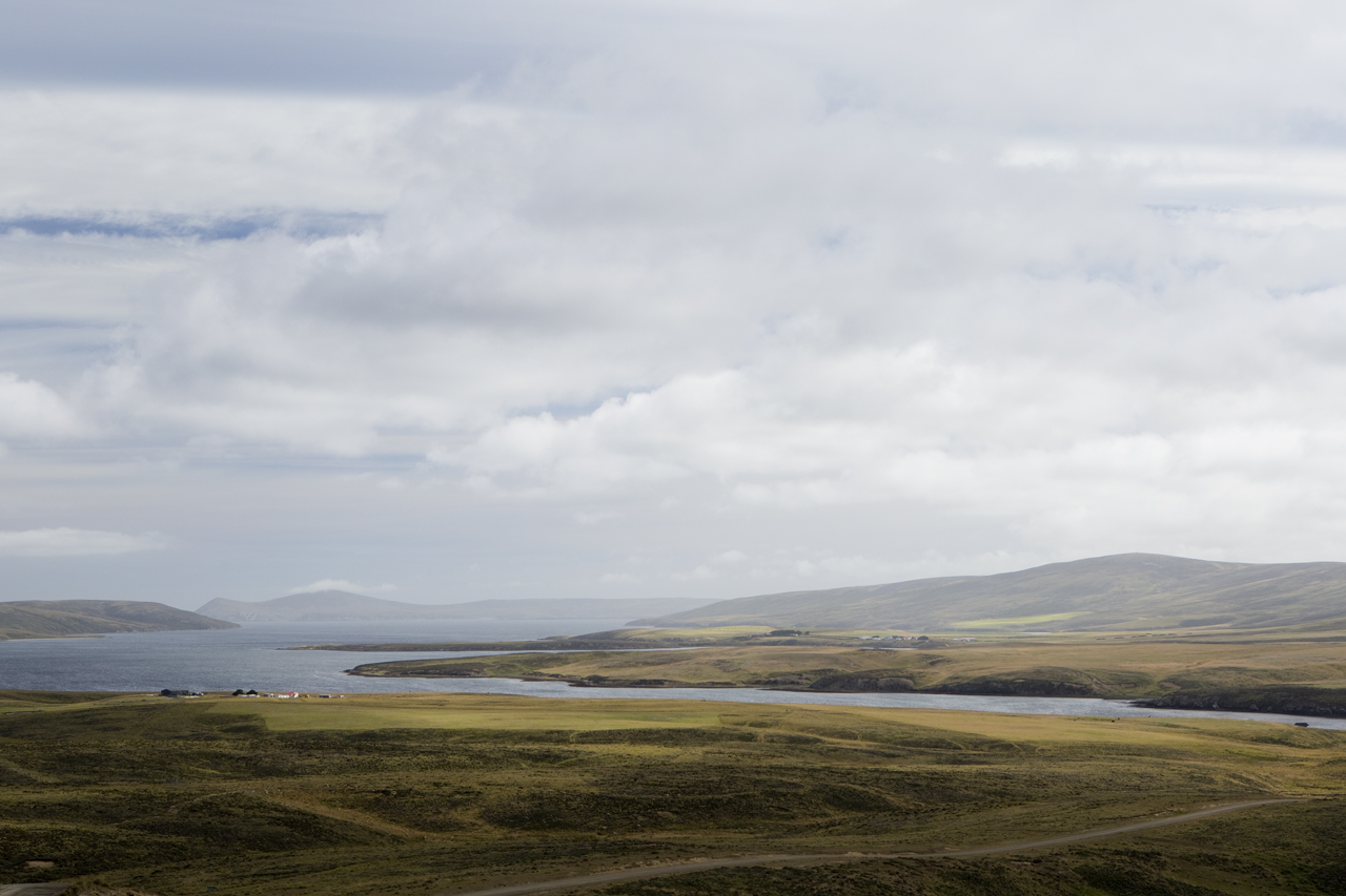 Falkland Islands Meat Company