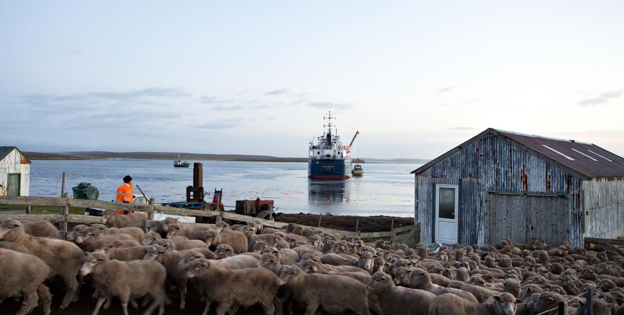 Falkland Islands Meat Company