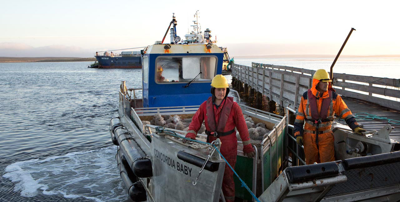 Falkland Islands Meat Company