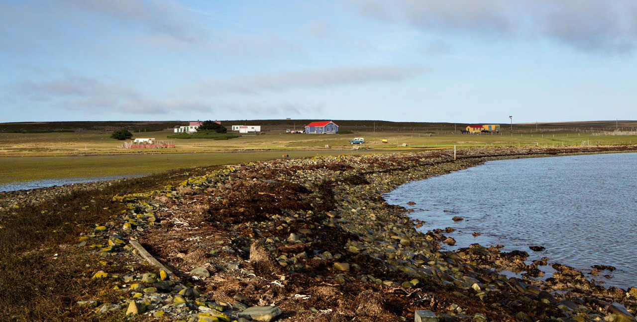 Falkland Islands Meat Company