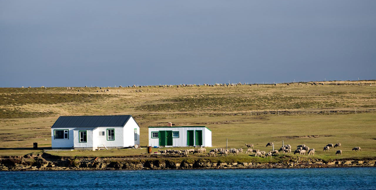 Falkland Islands Meat Company