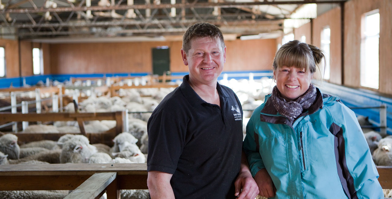 Falkland Islands Meat Company