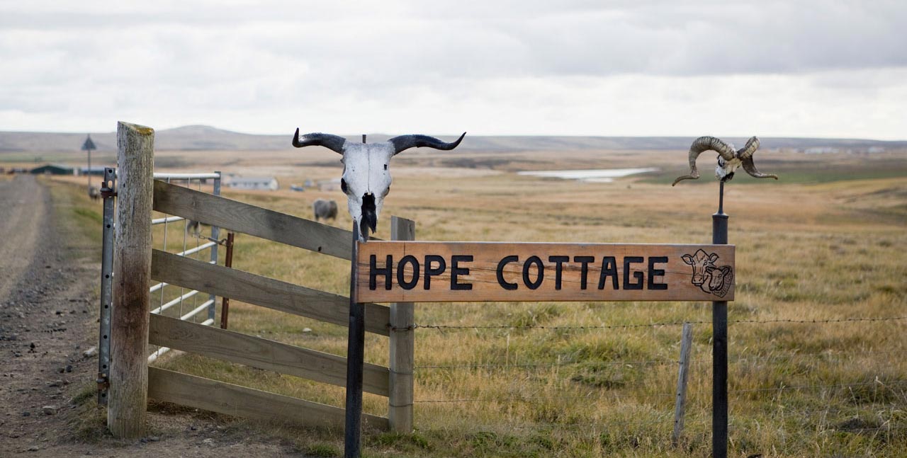 Falkland Islands Meat Company