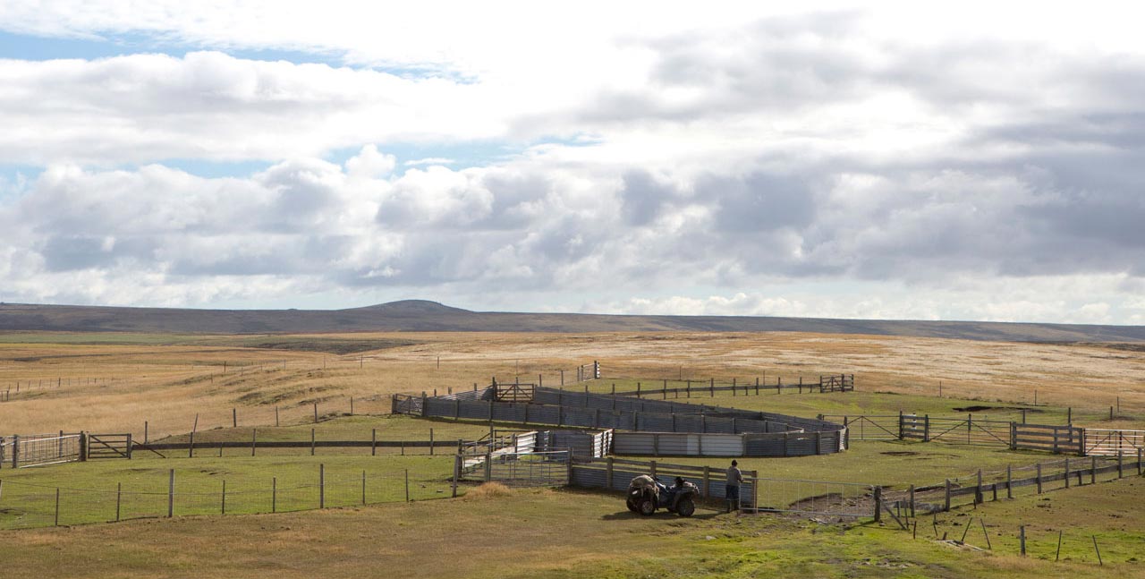 Falkland Islands Meat Company