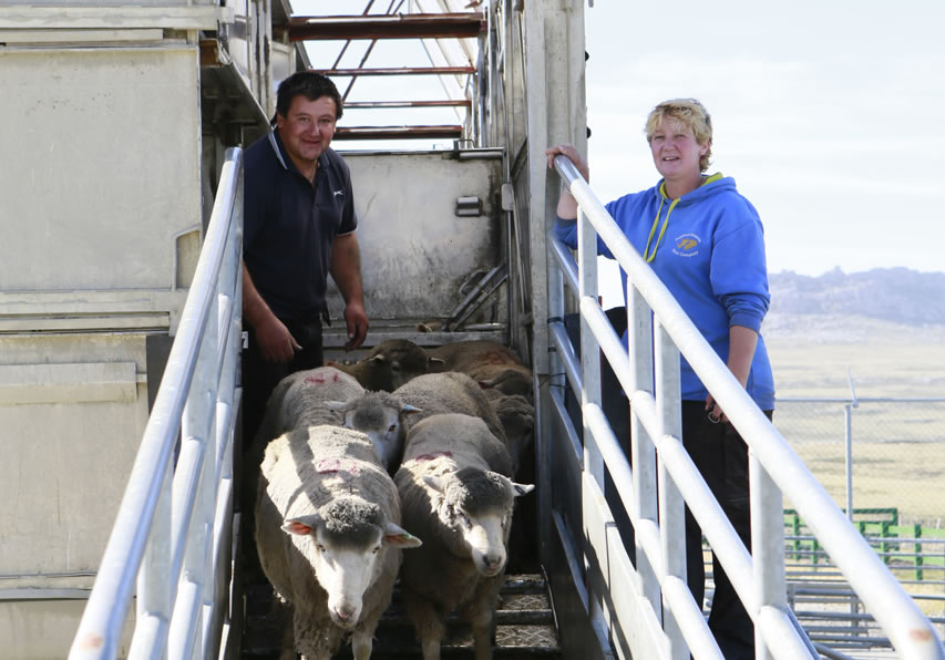 Falkland Islands Meat Company