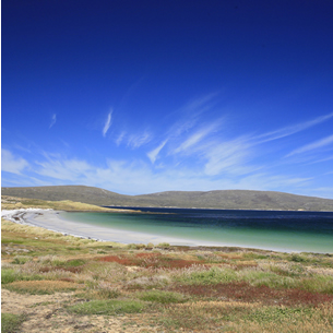 Falklands Islands Meat