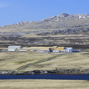 Falklands Islands Meat